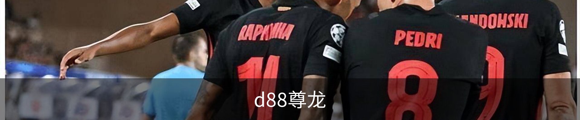 d88尊龙